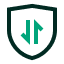 Secure Data Usage Icon