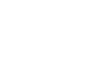 Bishopfox Logo